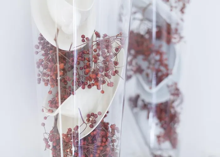 アパート Darley's *